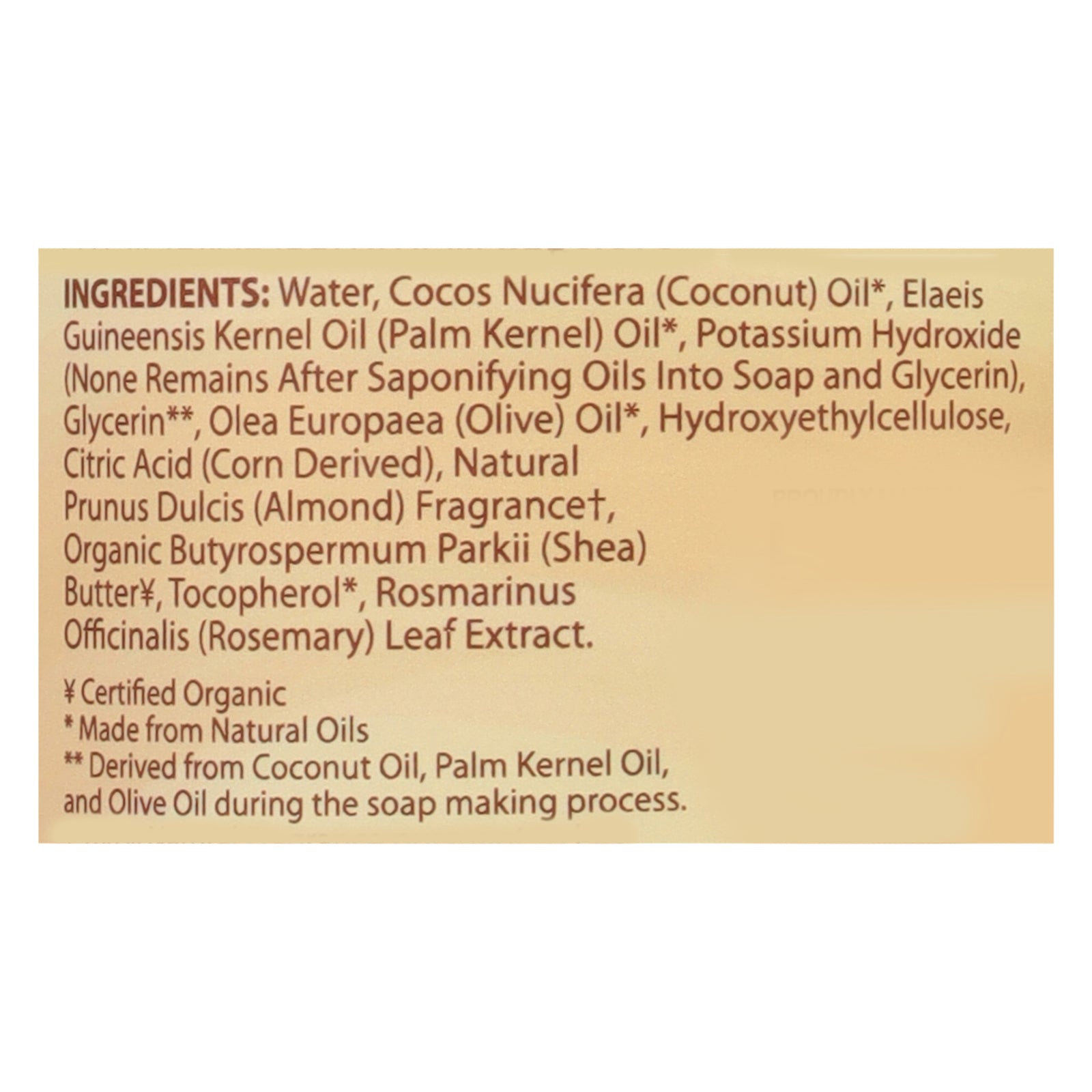 Dr. Natural - Castile Liquid Soap Almond - 1 Each 1-32 Fz
