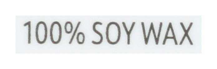 CALYAN WAX CO CANDLE SOY EVRGRN EUCLYP