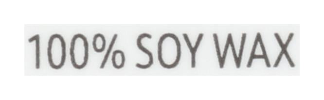 CALYAN WAX CO CANDLE SOY ASPEN FOG