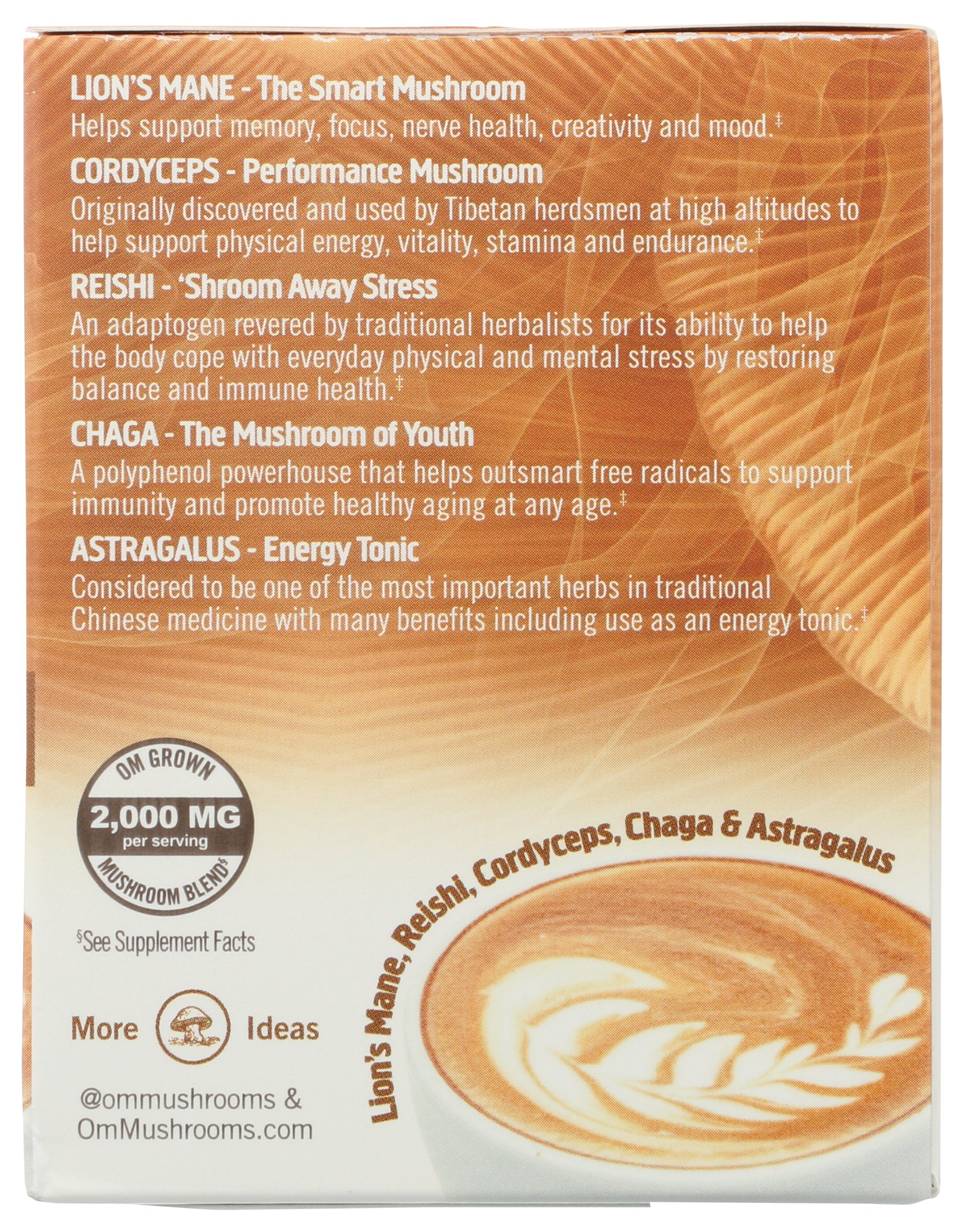 OM MUSHROOMS MUSHROOM LATTE 10PKT