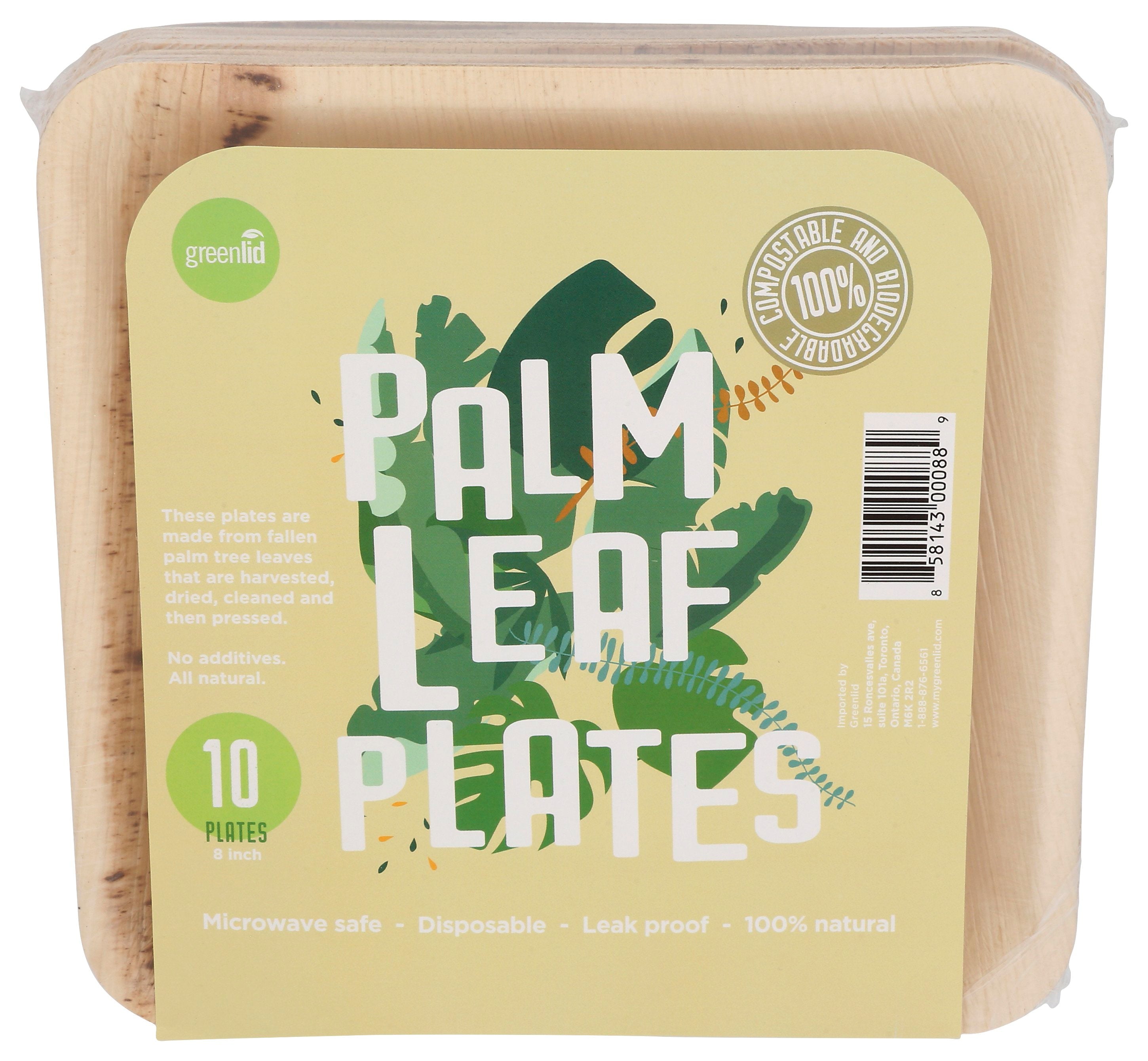 GREENLID PLATES SQ PALM LEAF 8IN - Case of 16