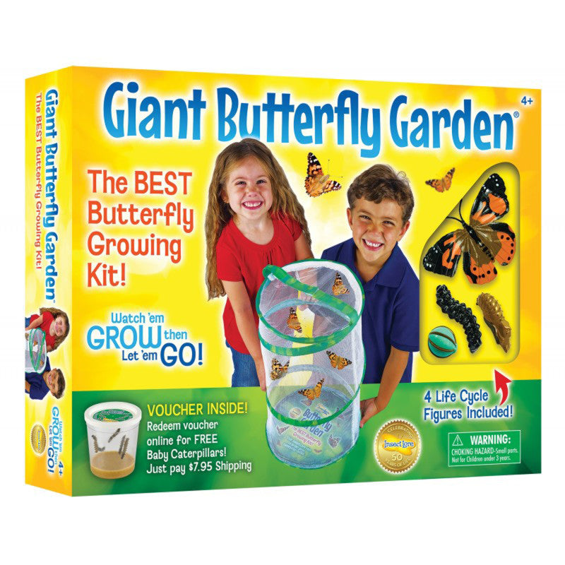 INSECT LORE - Giant Butterfly Garden® Deluxe Growing Kit