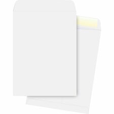 Business Source 28 lb. White Catalog Envelopes [ENVELOPE;CATALOG;10X13;WE-BX]