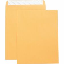 Business Source Self Adhesive Kraft Catalog Envelopes [ENVELOPE;CATLG;SELFSL;10X13-BX]