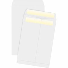 Business Source Press/Seal Catalog Envelopes [ENVELOPE;CATLG;SELFSL;6X9-BX]