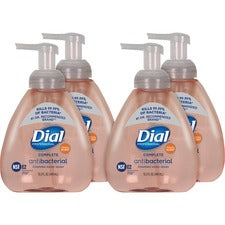 Dial Complete Antibacterial Foaming Hand Wash [SOAP;FOAM COMPLETE;DIAL-CT]