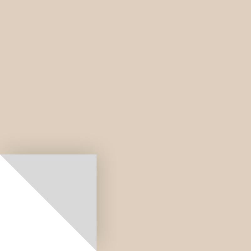 SAMPLIZE - Samplize Benjamin Moore Manchester Tan Peel & Stick Color Sample HC-81 - Case of 8