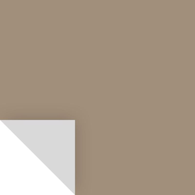 SAMPLIZE - Samplize Benjamin Moore Alexandria Beige Peel & Stick Color Sample HC-77 - Case of 8
