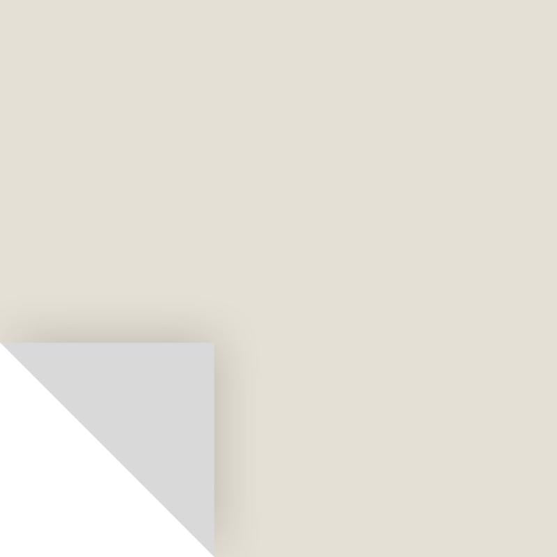 SAMPLIZE - Samplize Benjamin Moore Classic Gray Peel & Stick Color Sample OC-23 - Case of 8