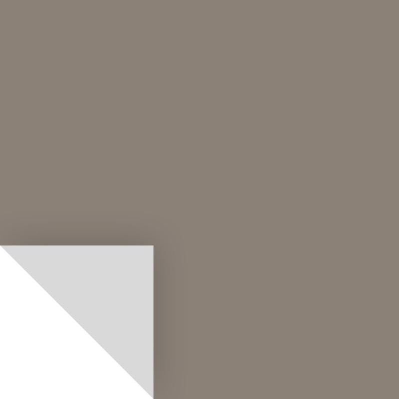 SAMPLIZE - Samplize Benjamin Moore Taos Taupe Peel & Stick Color Sample 2111-40 - Case of 8