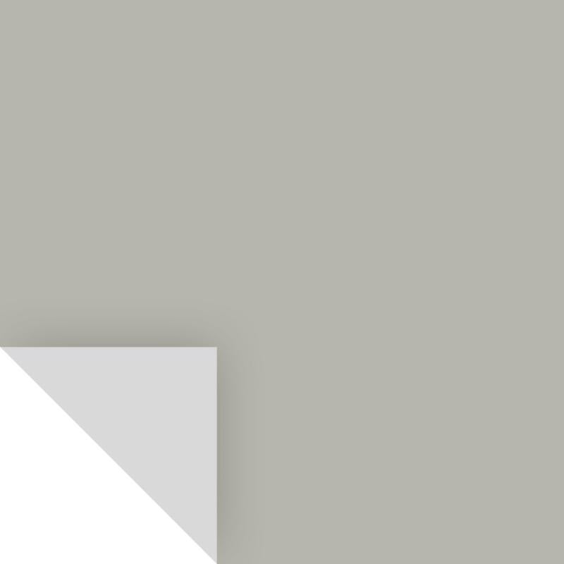 SAMPLIZE - Samplize Benjamin Moore Sea Haze Peel & Stick Color Sample 2137-50 - Case of 8