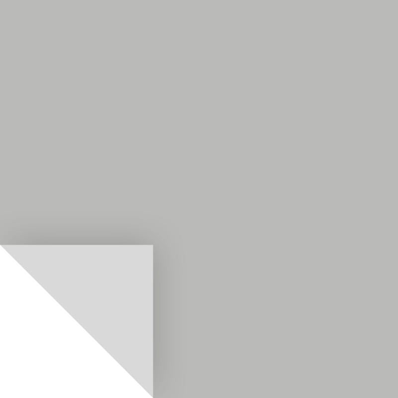 SAMPLIZE - Samplize Benjamin Moore Coventry Gray Peel & Stick Color Sample HC-169 - Case of 8