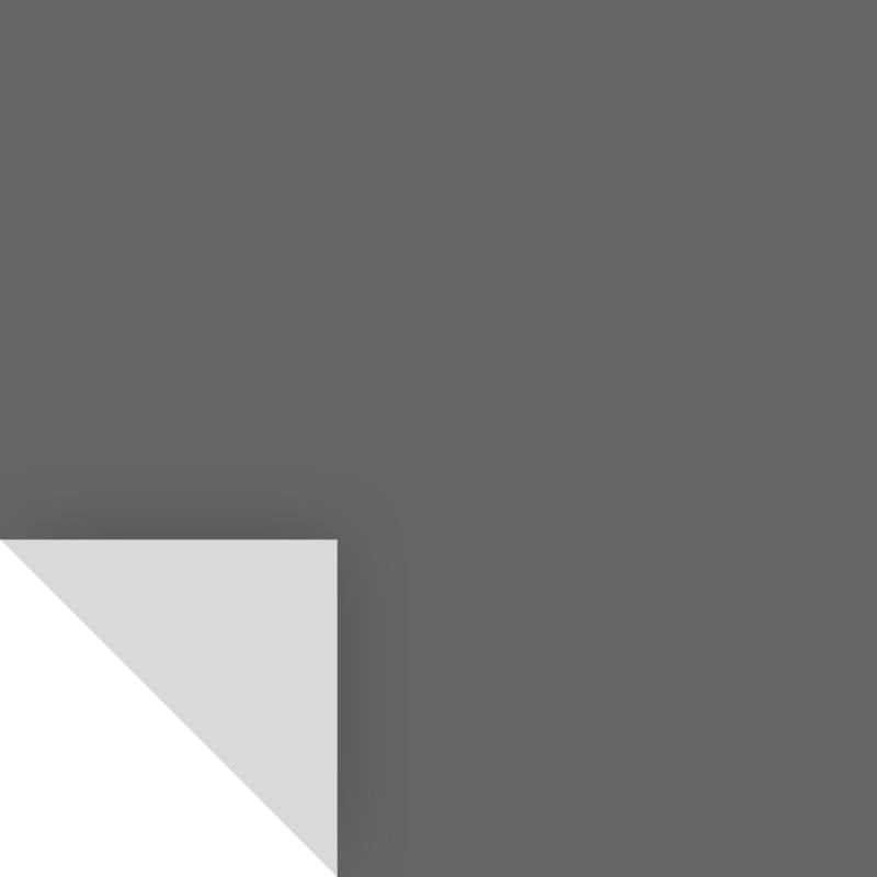 SAMPLIZE - Samplize Benjamin Moore Kendall Charcoal Peel & Stick Color Sample HC-166 - Case of 8