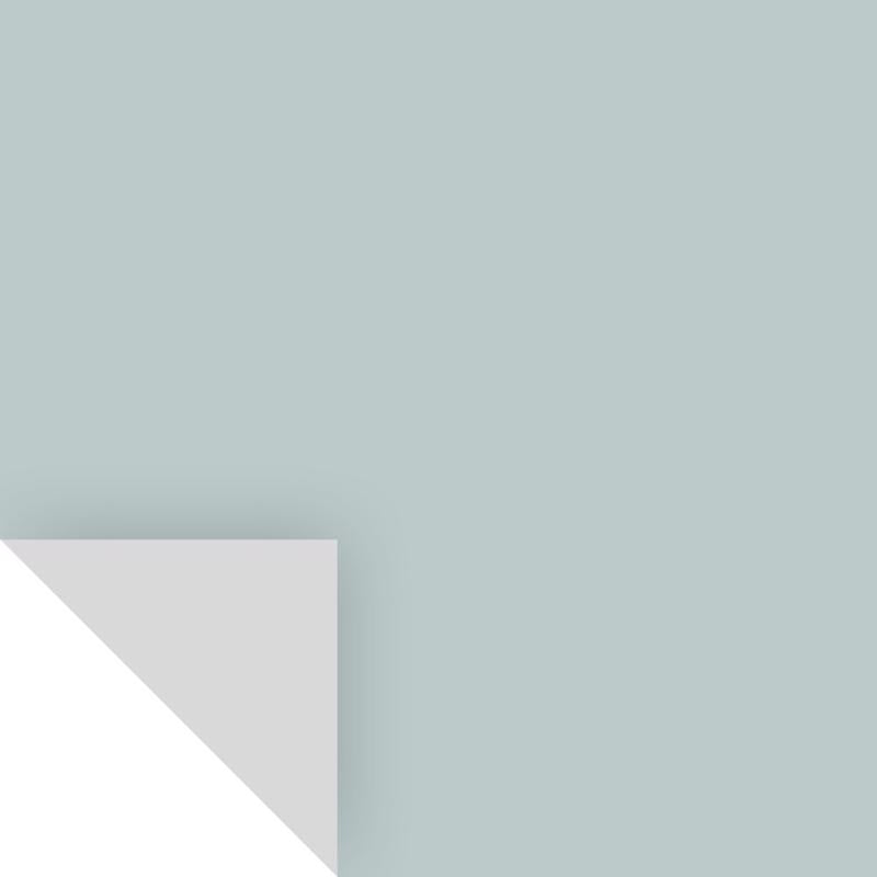 SAMPLIZE - Samplize Benjamin Moore Smoke Peel & Stick Color Sample 2122-40 - Case of 8