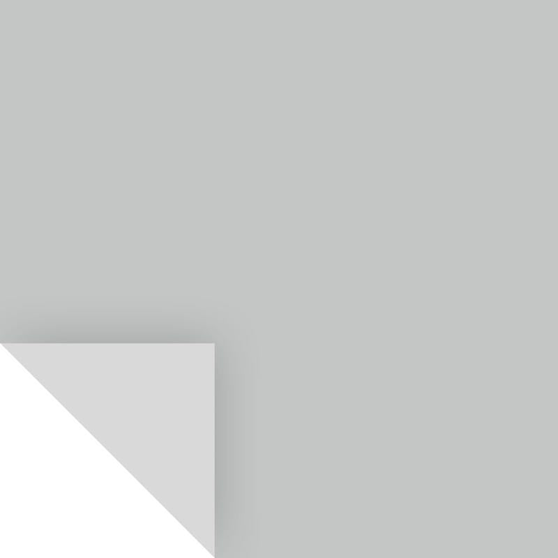SAMPLIZE - Samplize Benjamin Moore Silver Lake Peel & Stick Color Sample 1598 - Case of 8