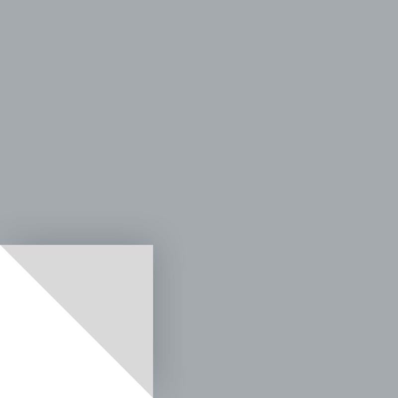 SAMPLIZE - Samplize Benjamin Moore Shadow Gray Peel & Stick Color Sample 2125-40 - Case of 8