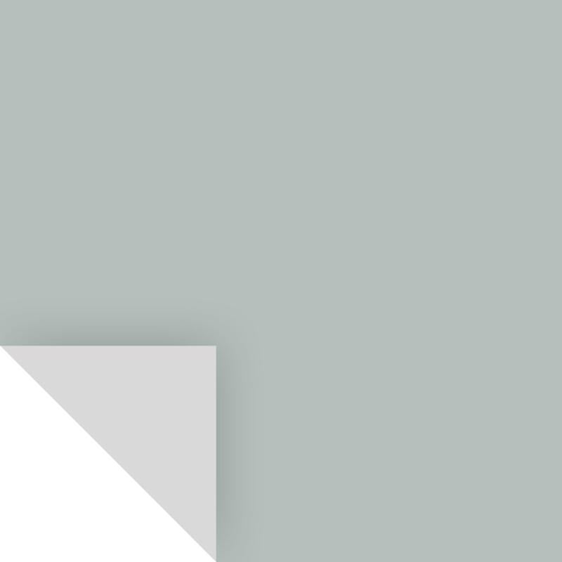 SAMPLIZE - Samplize Benjamin Moore Beach Glass Peel & Stick Color Sample 1564 - Case of 8