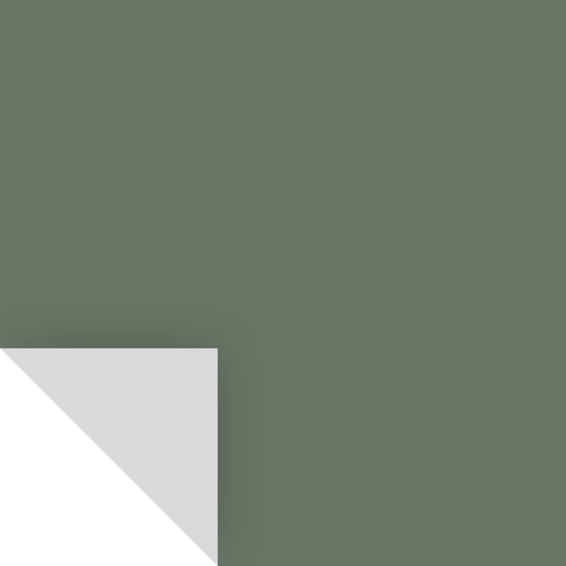 SAMPLIZE - Samplize Benjamin Moore Cushing Green Peel & Stick Color Sample HC-125 - Case of 8