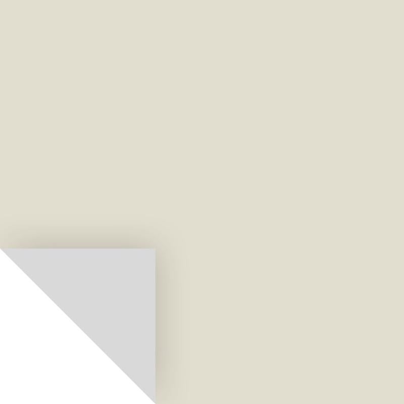 SAMPLIZE - Samplize Benjamin Moore November Rain Peel & Stick Color Sample OC-50 - Case of 8