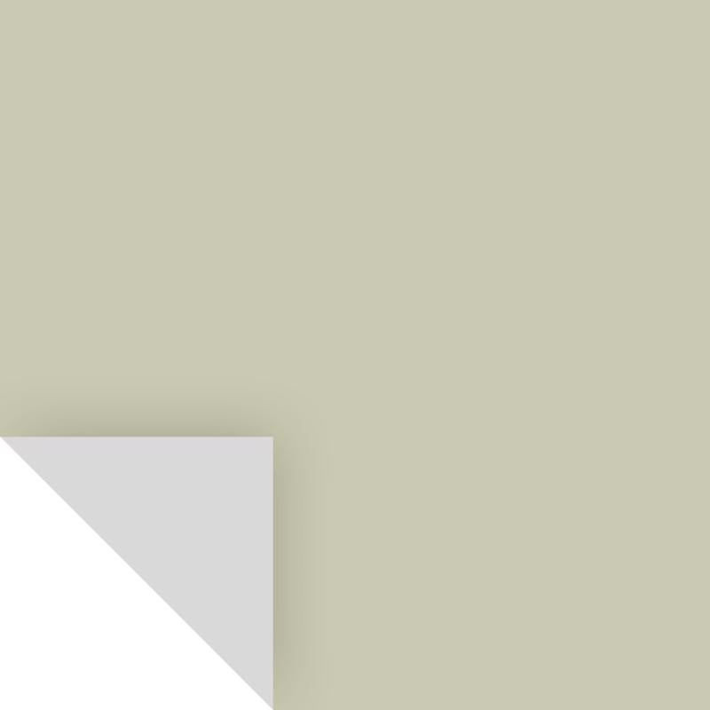 SAMPLIZE - Samplize Benjamin Moore Soft Fern Peel & Stick Color Sample 2144-40 - Case of 8