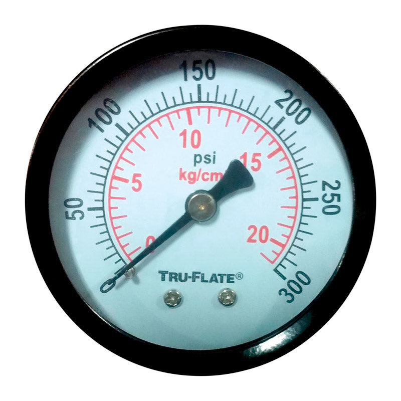 TRU-FLATE - Tru-Flate Polycarbonate Air Line Gauge 1/4 in. NPT 300 psi 1 pc