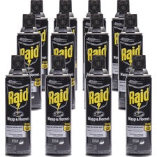 Raid Wasp/Hornet Killer Spray [INSECTICIDE;WASP&HORNT;RAID-CT]