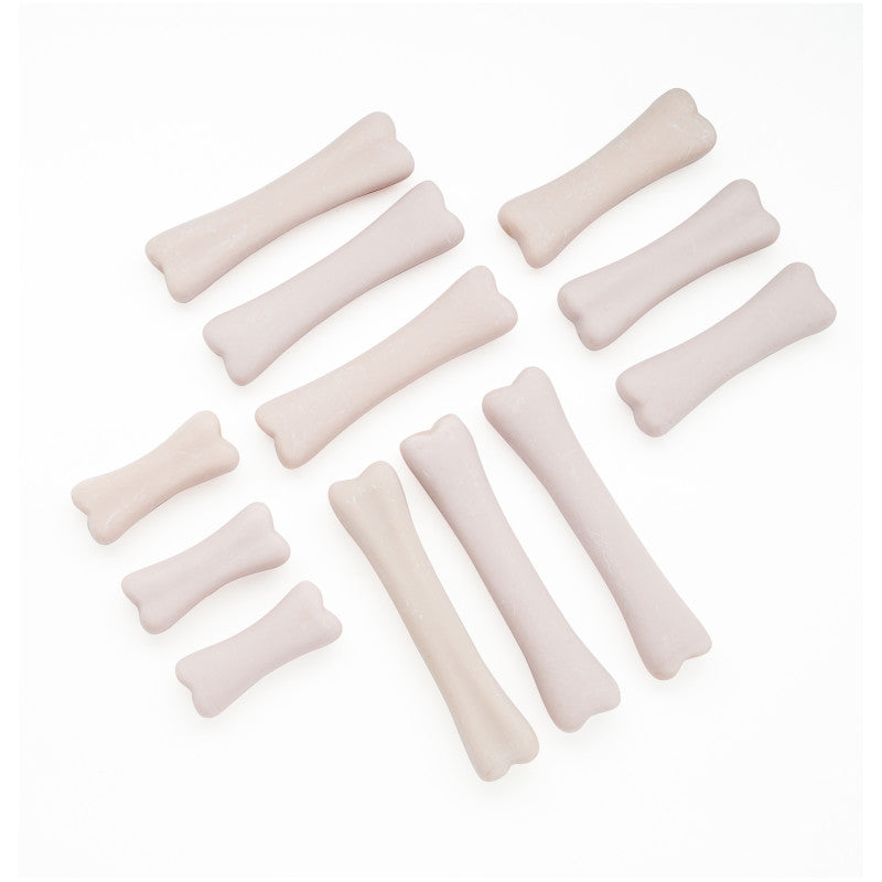 YELLOW DOOR - Dinosaur Bones Discovery Set, Pack of 12