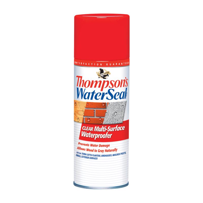 THOMPSON'S - Thompson's WaterSeal Clear Water-Based Multi-Surface Waterproofer 12 oz