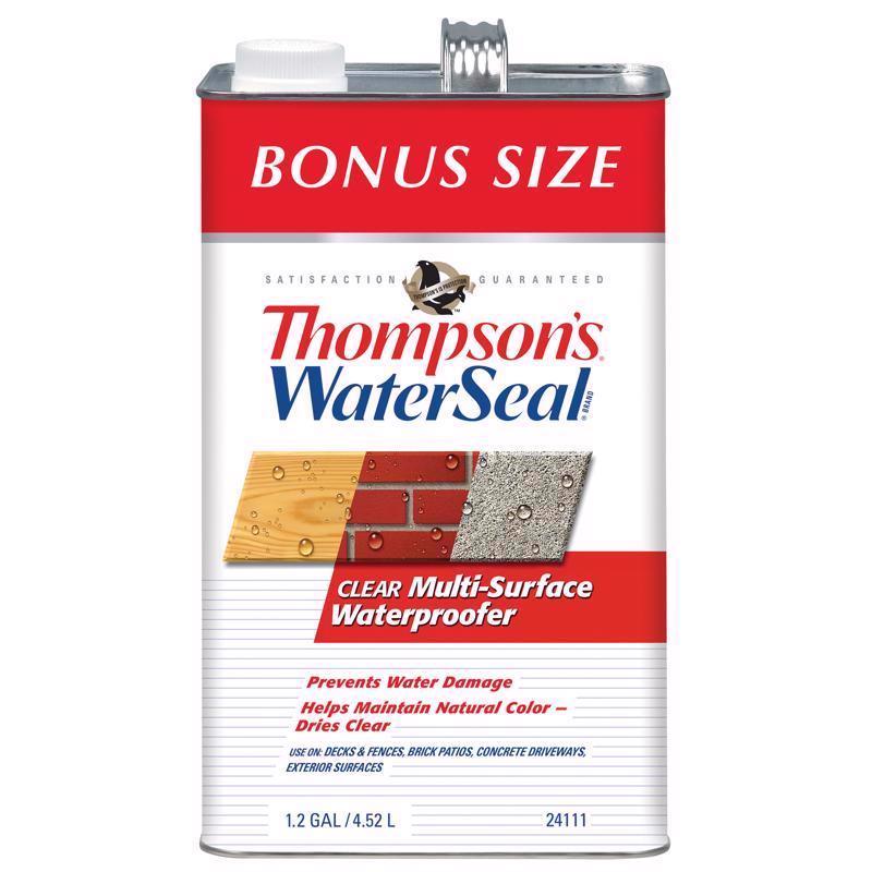 THOMPSON'S - Thompson's WaterSeal Flat Clear Multi-Surface Waterproofer 1.2 gal - Case of 4