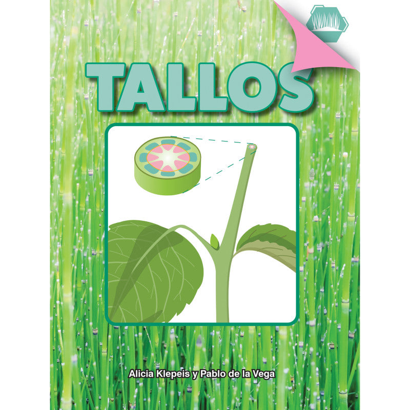 DISCOVERY LIBRARY - Tallos Book, Hardcover