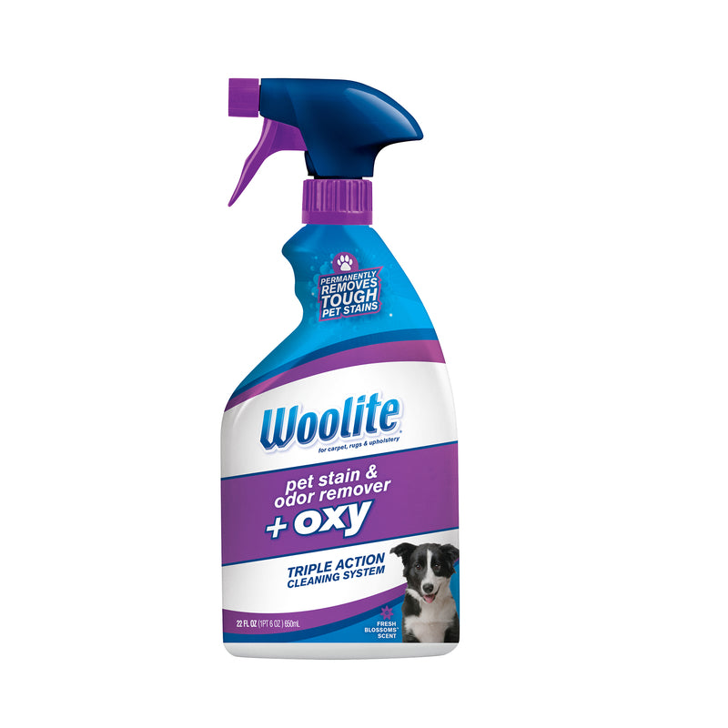 WOOLITE - Woolite Cat/Dog Odor/Stain Remover 22 oz