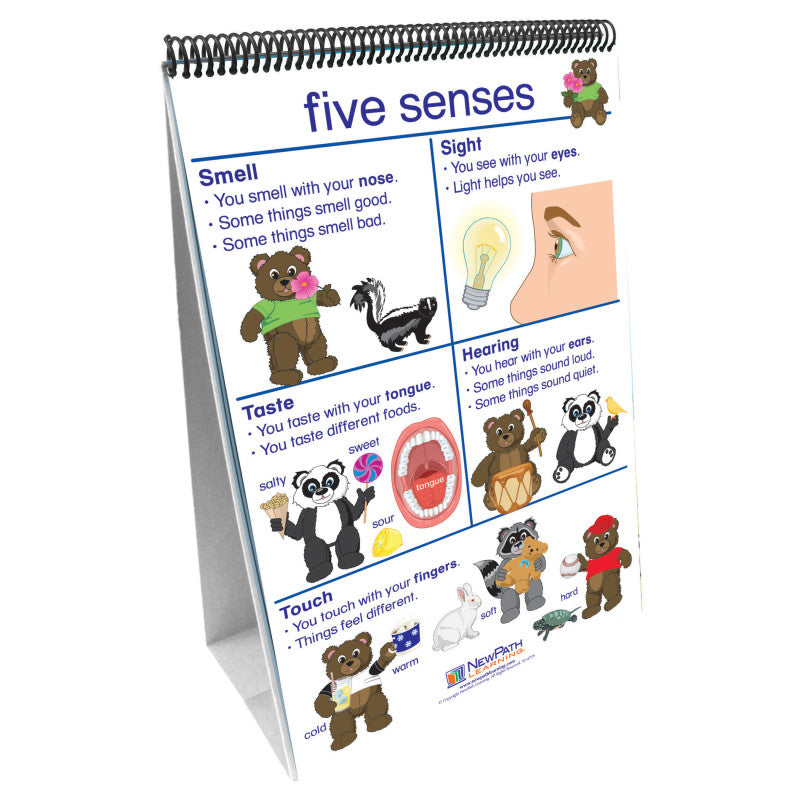 NEWPATH LEARNING - Early Childhood Science Readiness Flip Chart, All About Me