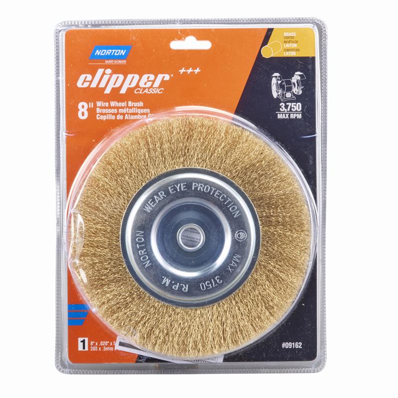 NORTON - Norton Clipper 8 in. Coarse Crimped Wire Wheel Brush Brass 3750 rpm 1 pc