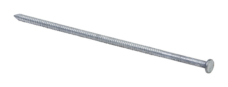 GRIP-RITE - Grip-Rite 60D 6 in. Pole Barn Hot-Dipped Galvanized Steel Nail Flat Head 30 lb