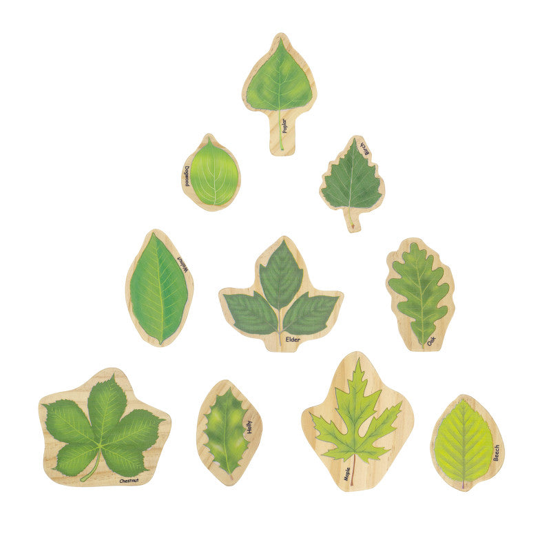 THE FRECKLED FROG - Stacking Leaves