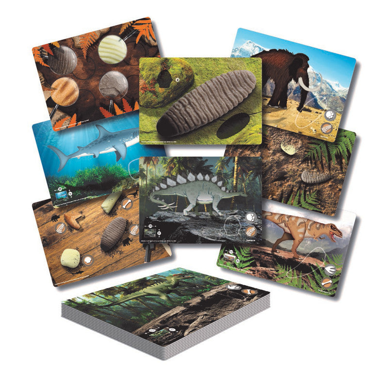 YELLOW DOOR - Prehistoric Teeth – Explore and Discover Activity Cards, Set of 16