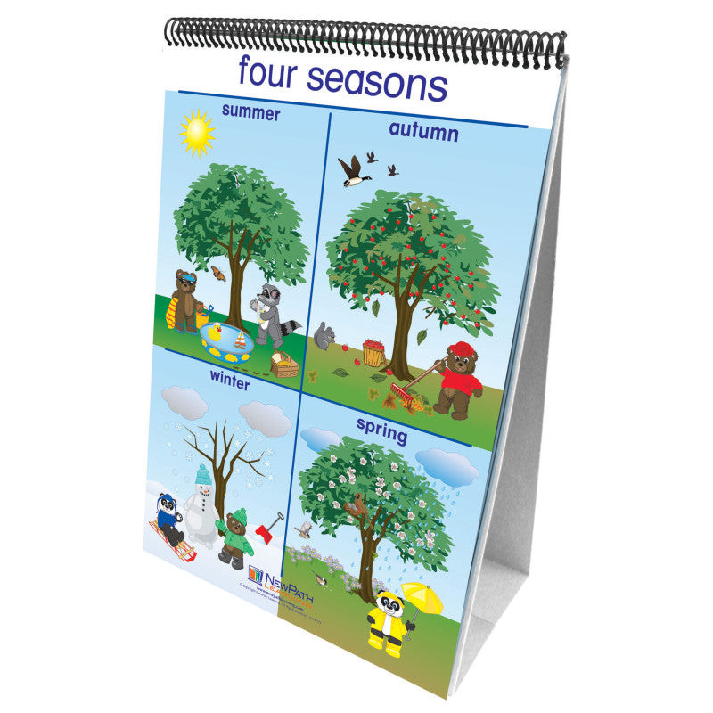 NEWPATH LEARNING - Early Childhood Science Readiness Flip Charts, Weather & Sky