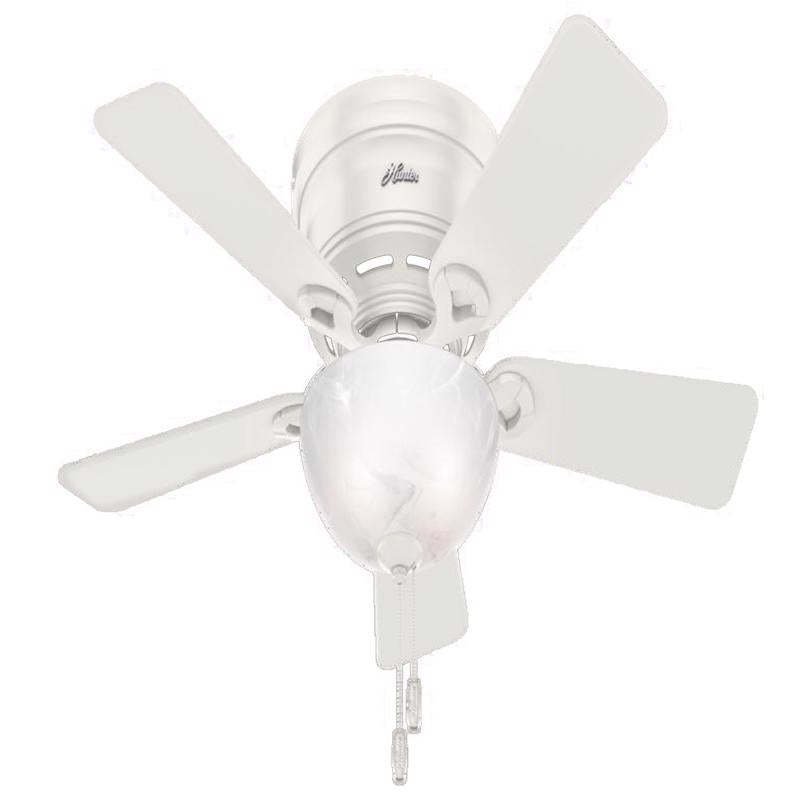 HUNTER - Hunter Haskell 42 in. White LED Indoor Ceiling Fan