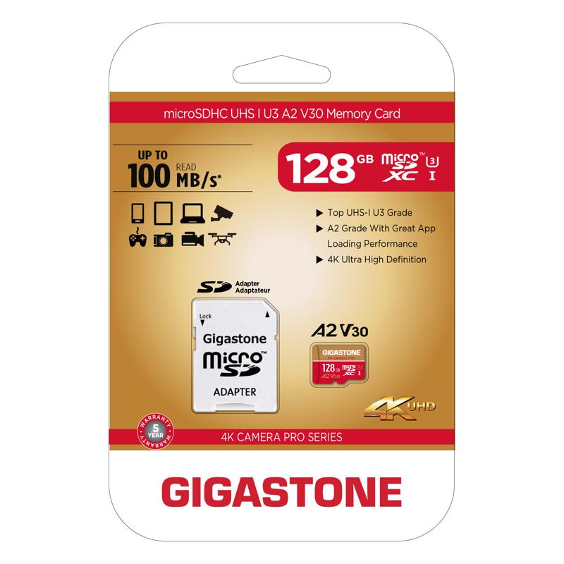 GIGASTONE - Gigastone SD Flash Memory Card 1 pk [2IN14KA2V30-128]