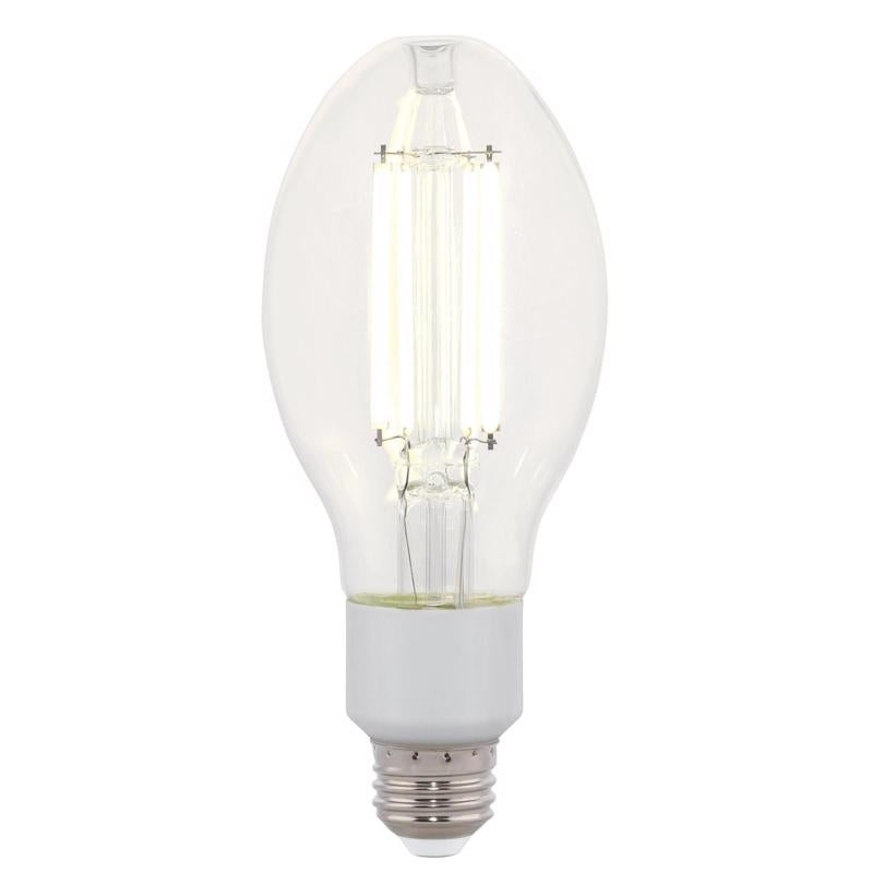 WESTINGHOUSE - Westinghouse ED23.5 E26 (Medium) Filament LED Bulb Daylight 125 Watt Equivalence 1 pk