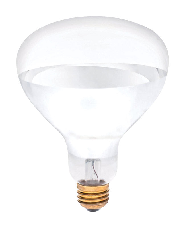 WESTINGHOUSE - Westinghouse 250 W R40 Reflector Incandescent Bulb E26 (Medium) White 1 pk - Case of 6