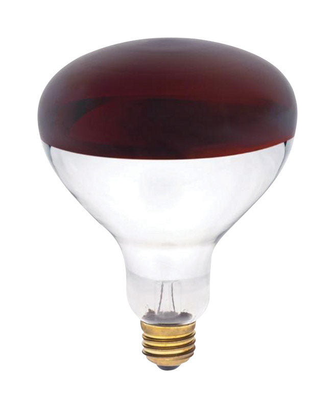 WESTINGHOUSE - Westinghouse 250 W R40 Reflector/Heat Lamp Incandescent Bulb E26 (Medium) Red 1 pk