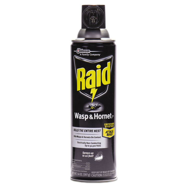 Raid - Wasp and Hornet Killer, 14 oz Aerosol Spray