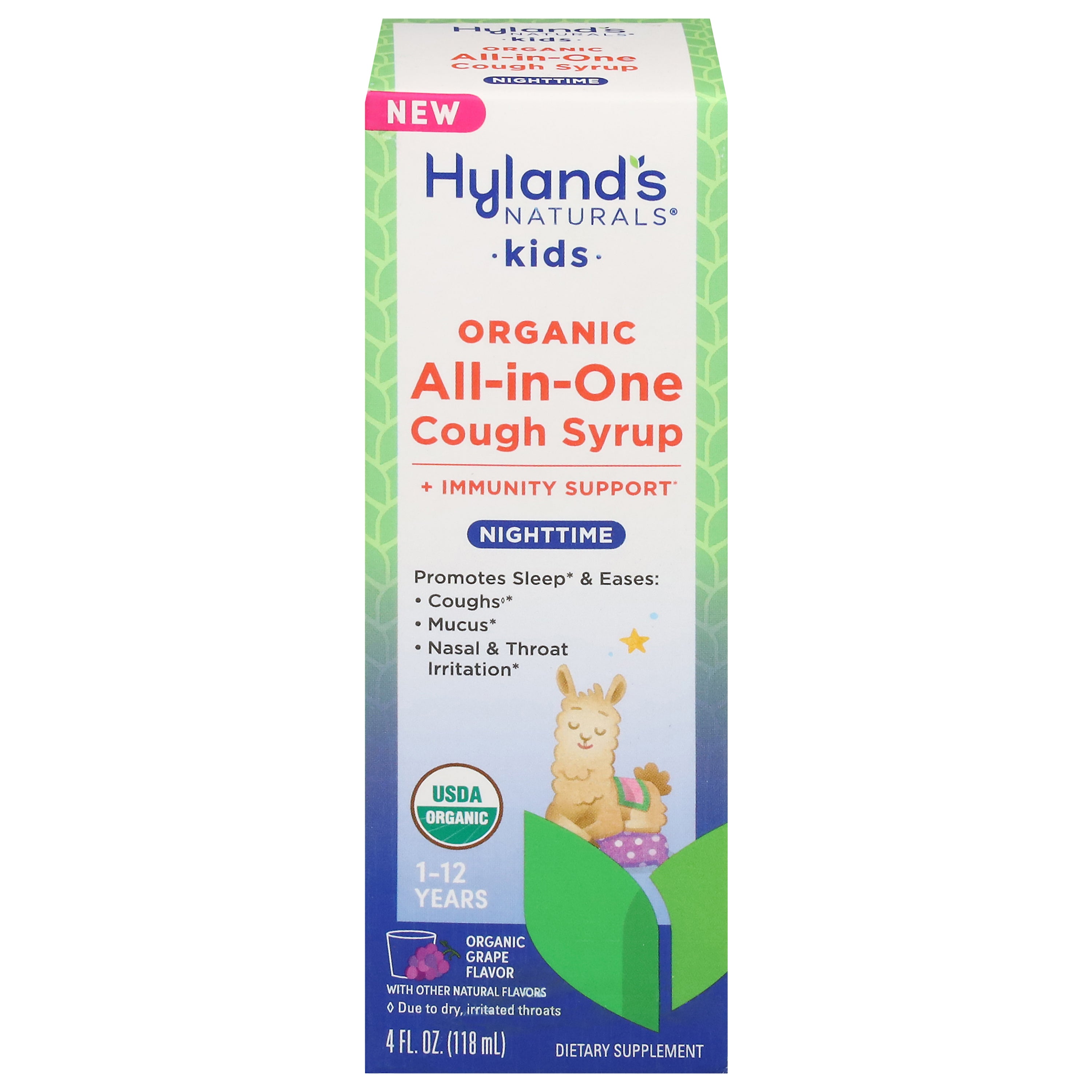Hyland's Naturals Kids Nighttime All-in-One Organic Grape Flavor Cough Syrup 4 fl oz - Case of 1