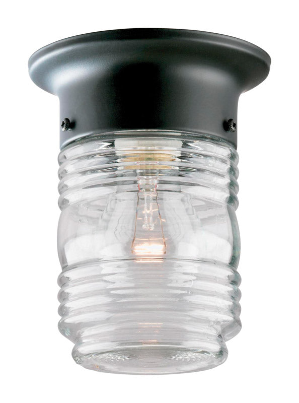 WESTINGHOUSE - Westinghouse Matte Clear Porch Light