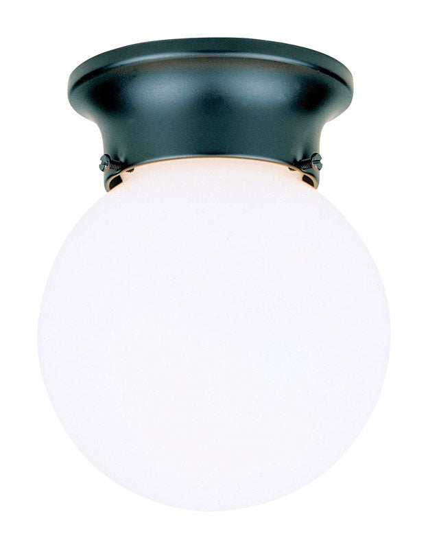 WESTINGHOUSE - Westinghouse Gloss Black Incandescent Light Fixture