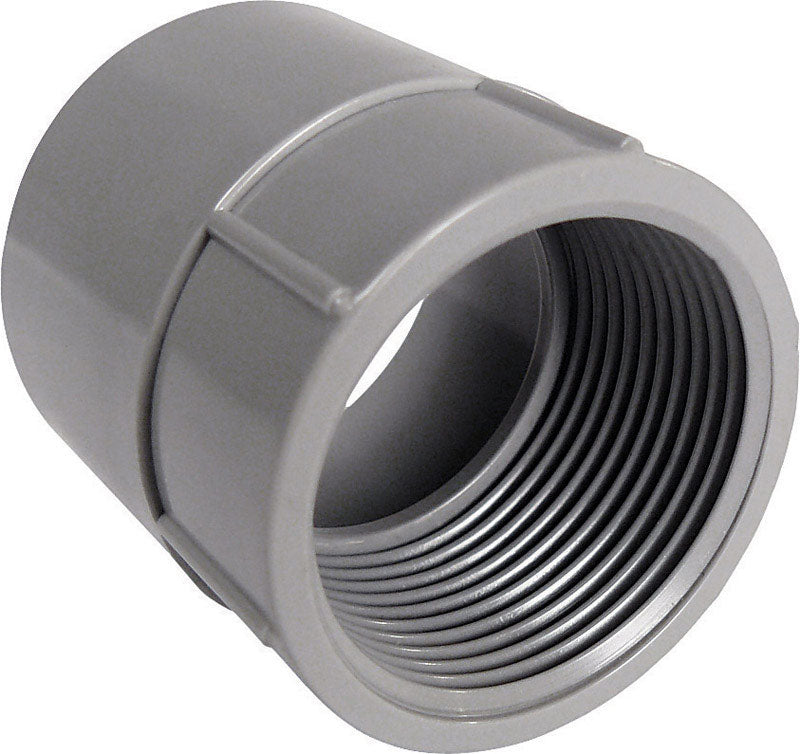 CANTEX - Cantex 1/2 in. D PVC Female Adapter For PVC 1 pk