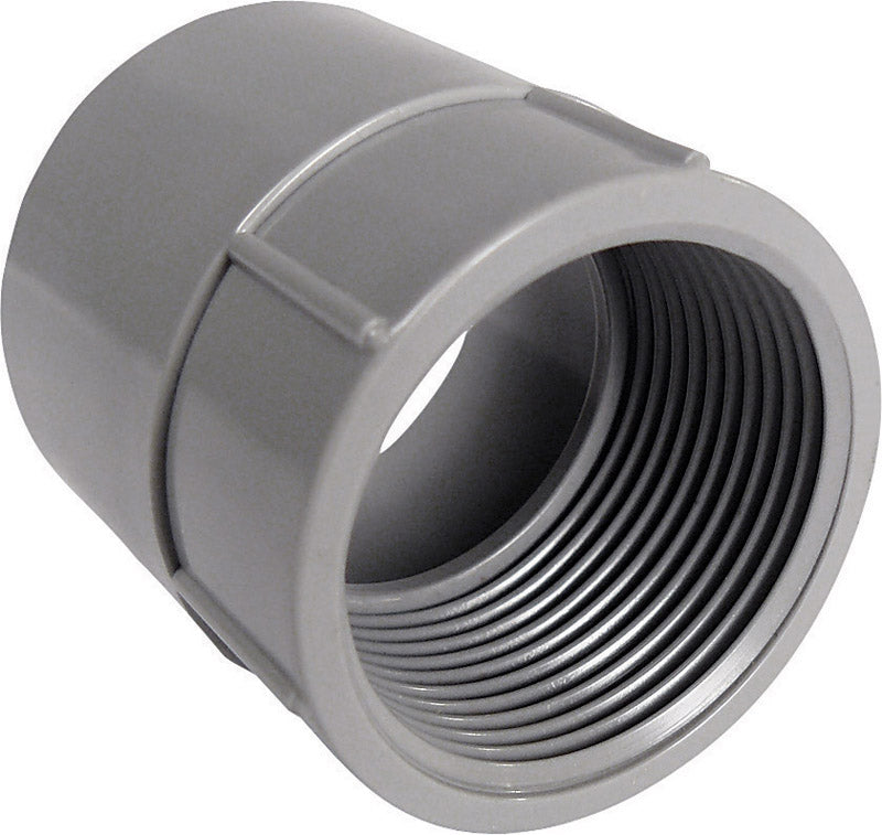 THOMAS & BETTS - Cantex 1-1/4 in. D PVC Female Adapter 1 pk