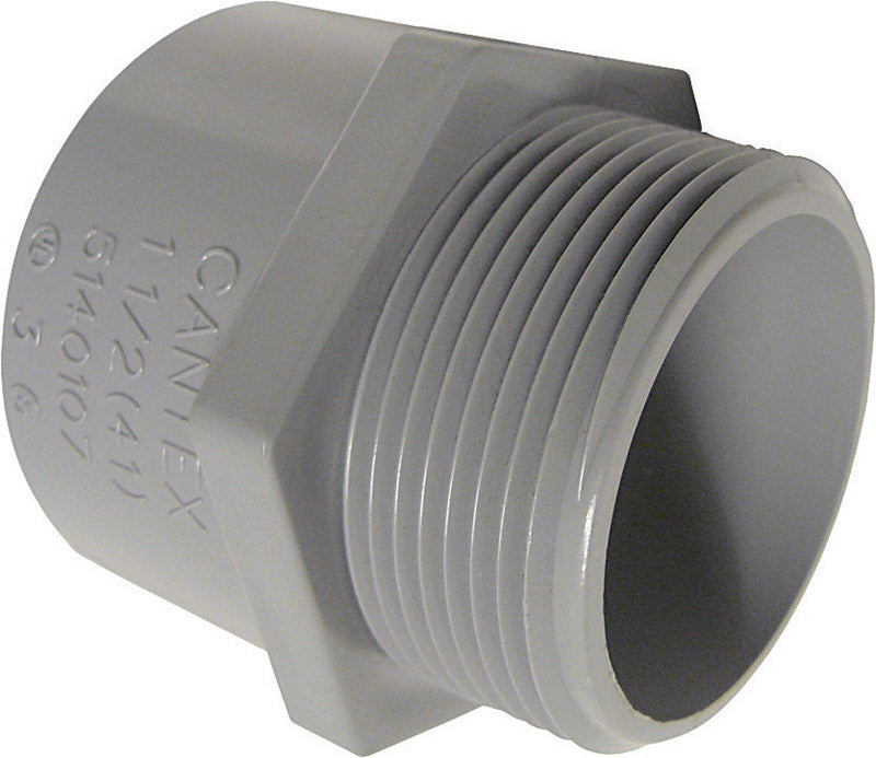 CANTEX - Cantex 1-1/4 in. D PVC Male Adapter 1 pk