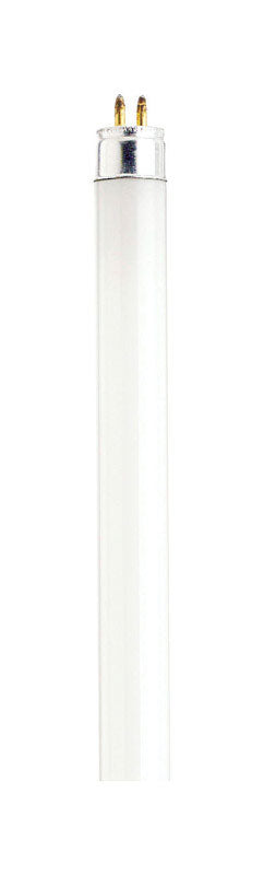 SATCO - Satco 8 W T5 0.63 in. D X 11.91 in. L Fluorescent Bulb Cool White Linear 4000 K 1 pk - Case of 10